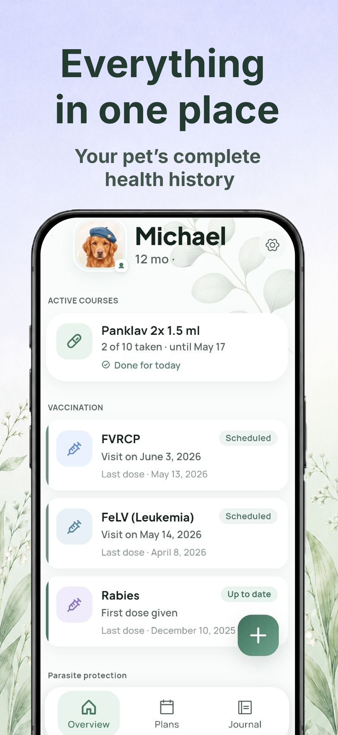 Everything in one place — Michael the dog's complete health history with active courses and FVRCP, FeLV, and Rabies vaccinations